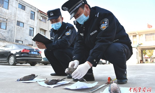 河南浚县：查获一起非法狩猎案