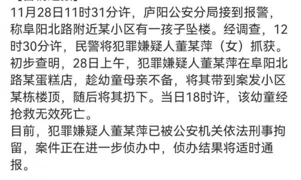 安徽合肥警方通报幼童坠亡：趁幼童母亲不备将孩子抱走扔下楼的嫌疑人已被刑拘